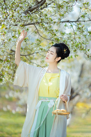 月光影院電視劇免費觀看完整版