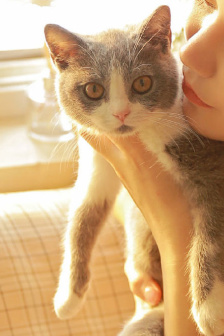 天天射天天干天天色