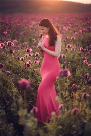 《長歌行》全集免費觀看西瓜影視