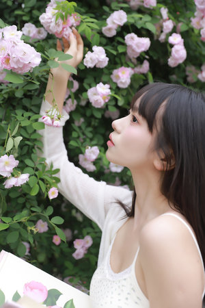 多夫(HPN)筆趣閣免費閱讀