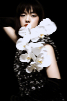 暴劫柔情在線觀看免費