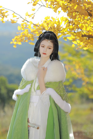 秦鋼為什么被處死