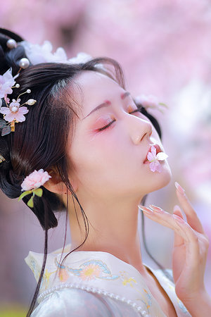 灌籃高手國語全集