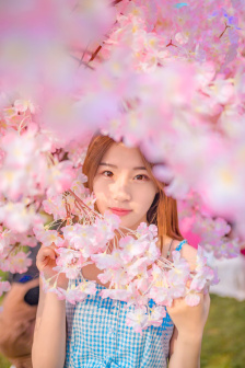 主人可不可以關掉開關