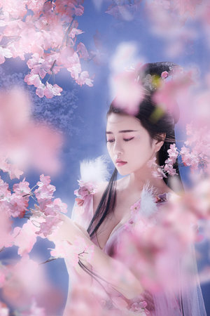 明月引電視劇免費觀看全集