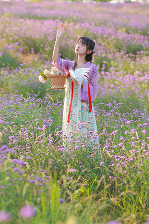 妖魔道在線觀看免費完整版國語