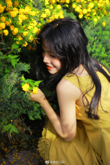 三年大片大全免費觀看國語