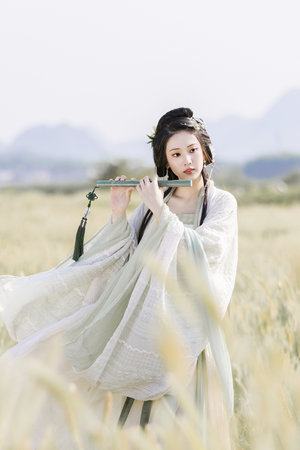 電視劇中國遠征軍