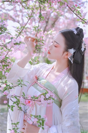 影視先鋒電影在線觀看