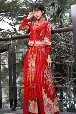 白蓮花的上位(NP)作者簡介