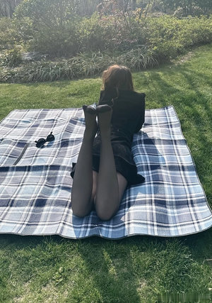 林子銘楚菲小說免費全文閱讀大結局