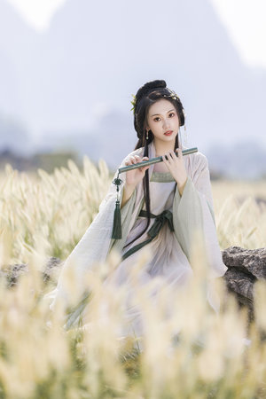 武林外傳在線觀看免費全集