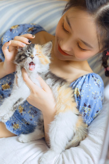 成全影視大全免費追劇大全