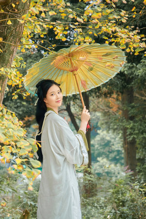 錦衣之下在線觀看完整版免費