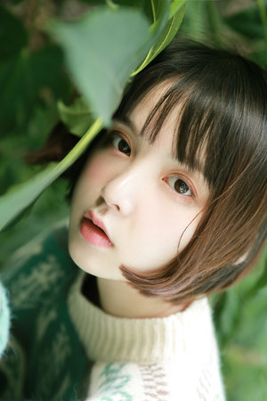 新臺劇《秘密關系》免費觀看全集