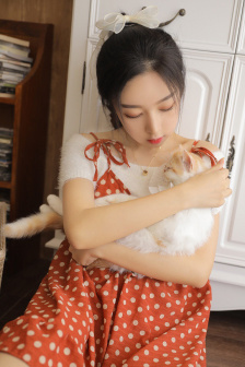 正陽門下電視劇全集免費觀看